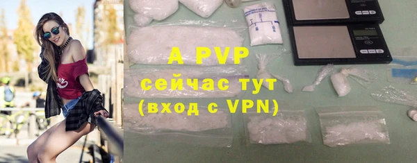 ГАЛЛЮЦИНОГЕННЫЕ ГРИБЫ Богородск